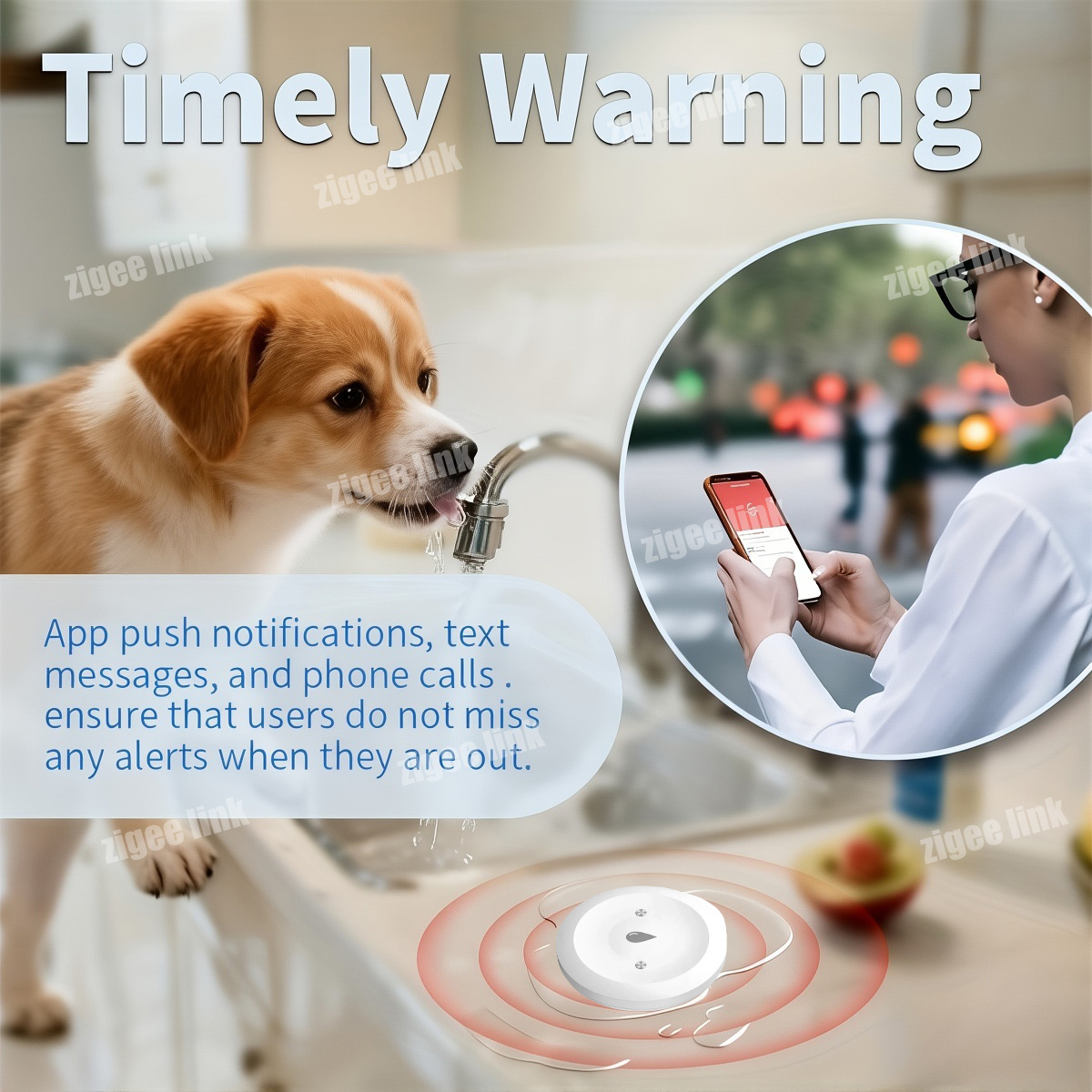 ZigBee 3.0 Water Sensor Smart  - Water Alarm Sensor 评论和价格