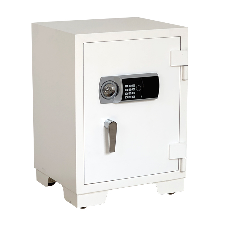 Bank Home Office Deposit Secur - Fire Safe Document 评论和价格